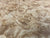 8"x3" KD Maple Burl Wood Bowl Turning Blank (#00144)