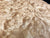 8"x3" KD Maple Burl Wood Bowl Turning Blank (#00144)