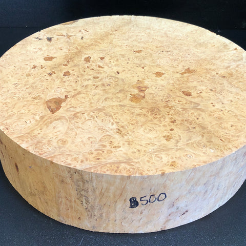 12.5"x3" KD Maple Burl Wood Bowl Turning Blank (#500)