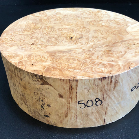 9x3.5 KD Maple Burl Wood Bowl Turning Blank (#00508)