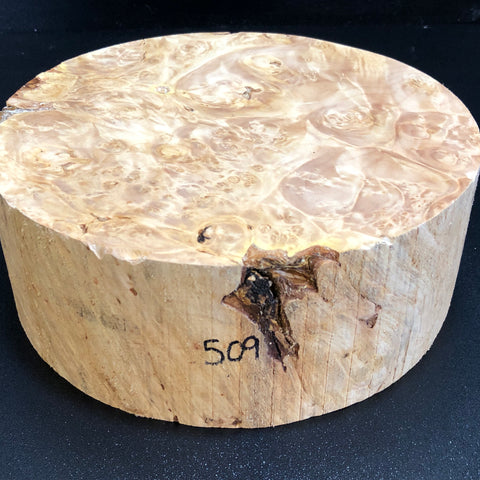 9x3.5 KD Maple Burl Wood Bowl Turning Blank (#00509)