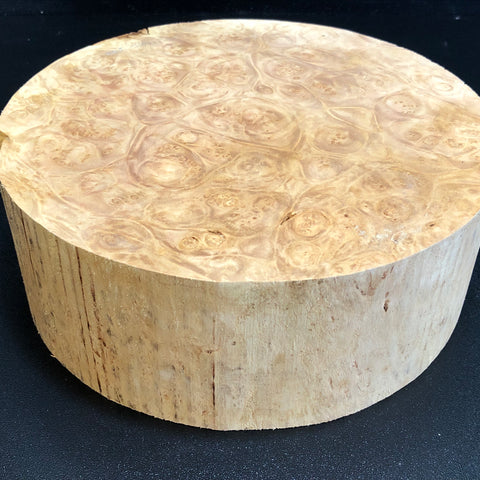 7"x3" KD Maple Burl Wood Bowl Turning Blank (#00283)