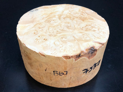 7"x3" KD Maple Burl Wood Bowl Turning Blank (#0067)