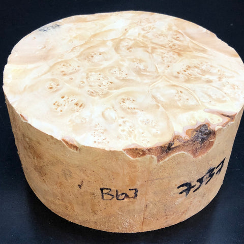 7"x3" KD Maple Burl Wood Bowl Turning Blank (#0067)