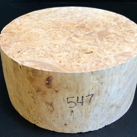 3"x3"x6" KD Maple Burl Wood Spindle Turning Blank (#00296)