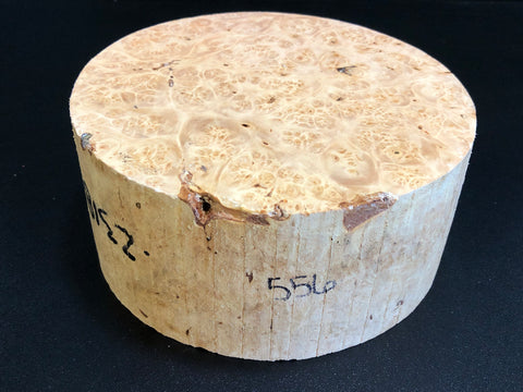7"x3" KD Maple Burl Wood Bowl Turning Blank (#00556)