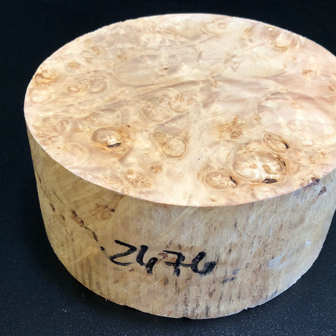 3"x3"x6" KD Maple Burl Wood Spindle Turning Blank (#00299)