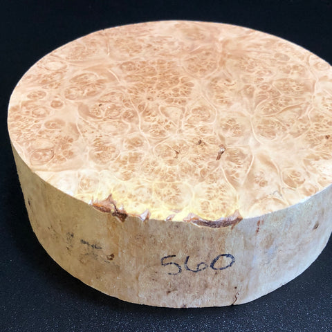 7x2.5 KD Maple Burl Wood Bowl Turning Blank (#00560)