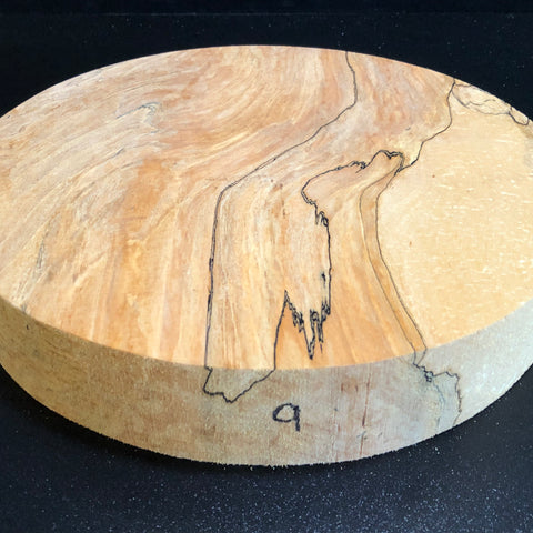 11"x2" KD Spalted Hard Maple Wood Bowl Turning Blank (#009)