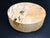 7"x2" KD Spalted Hard Maple Wood Bowl Turning Blank (#0035)