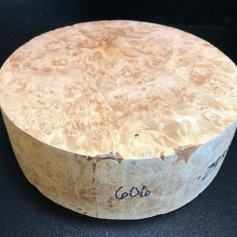 10x3.5 KD Maple Burl Wood Bowl Turning Blank (#00606)