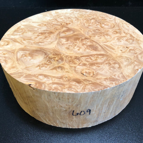 10"x3" KD Maple Burl Wood Bowl Turning Blank (#00609)