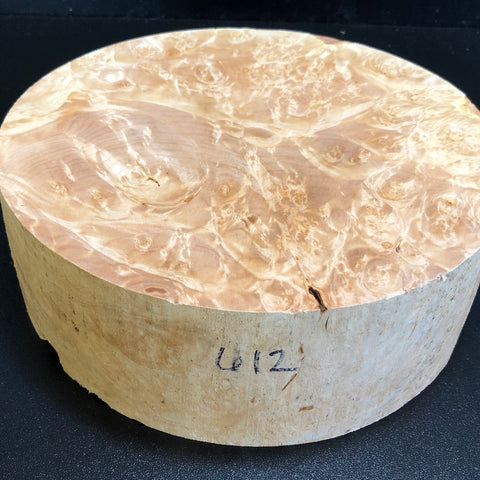 10"x3" KD Maple Burl Wood Bowl Turning Blank (#00612)