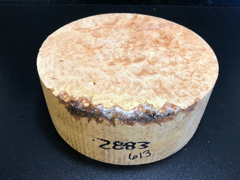 9"x3" KD Maple Burl Wood Bowl Turning Blank (#00613)
