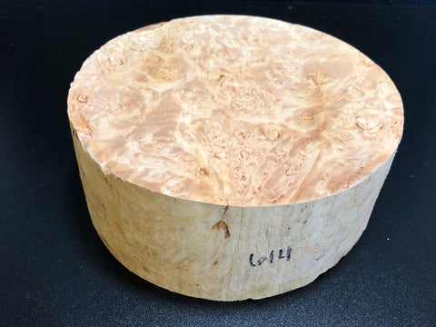 9"x3" KD Maple Burl Wood Bowl Turning Blank (#00614)