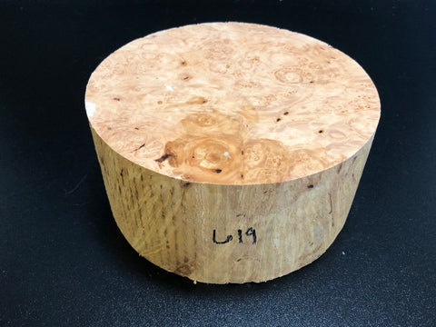 7x3.5 KD Maple Burl Wood Bowl Turning Blank (#00619)