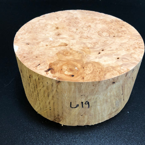 7x3.5 KD Maple Burl Wood Bowl Turning Blank (#00619)