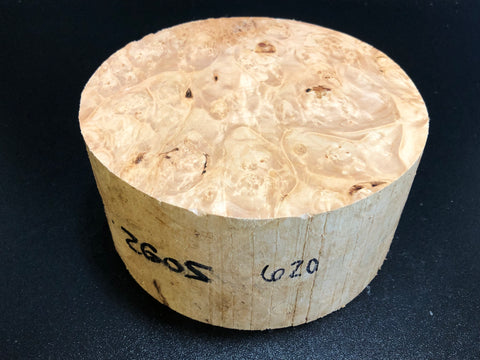 7x3.5 KD Maple Burl Wood Bowl Turning Blank (#00620)