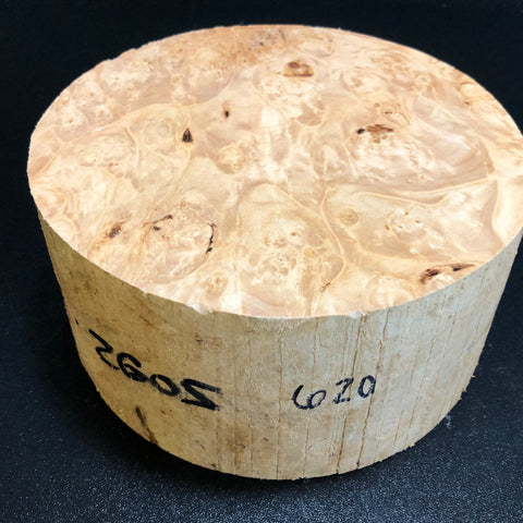7x3.5 KD Maple Burl Wood Bowl Turning Blank (#00620)
