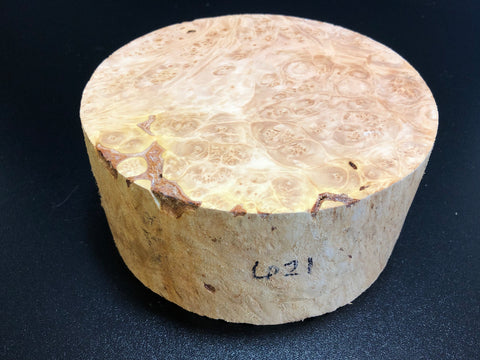 7x3.5 KD Maple Burl Wood Bowl Turning Blank (#00621)