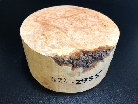 7x3.5 KD Maple Burl Wood Bowl Turning Blank (#00622)