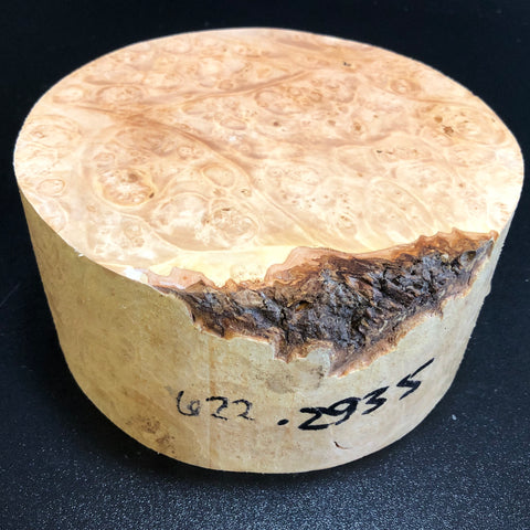 7x3.5 KD Maple Burl Wood Bowl Turning Blank (#00622)