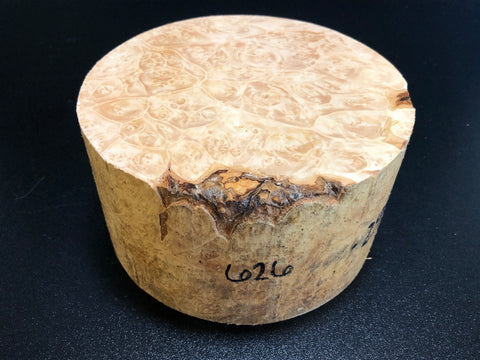 6x3.5 KD Maple Burl Wood Bowl Turning Blank (#00626)