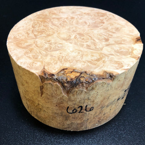 6x3.5 KD Maple Burl Wood Bowl Turning Blank (#00626)