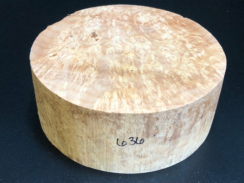 9x3.5 KD Maple Burl Wood Bowl Turning Blank (#00636)