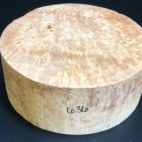 9x3.5 KD Maple Burl Wood Bowl Turning Blank (#00636)