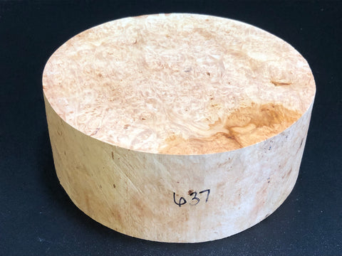 9x3.5 KD Maple Burl Wood Bowl Turning Blank (#00637)