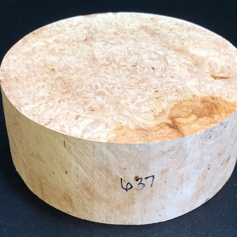 9x3.5 KD Maple Burl Wood Bowl Turning Blank (#00637)