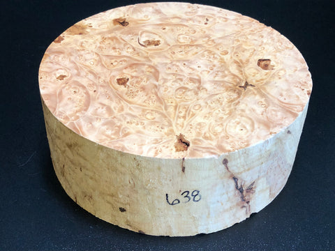9x3.5 KD Maple Burl Wood Bowl Turning Blank (#00638)