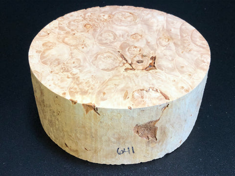 8"x3" KD Maple Burl Wood Bowl Turning Blank (#00641)