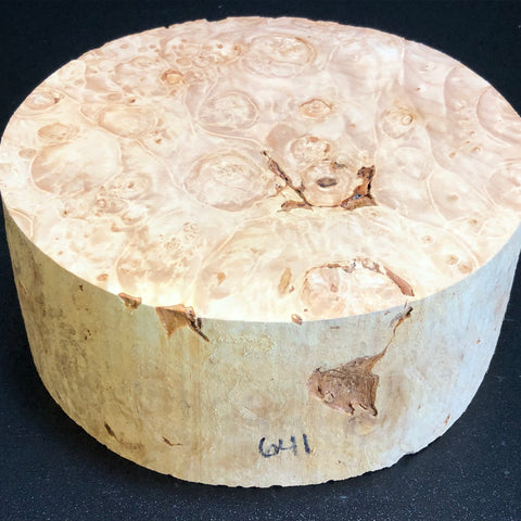8"x3" KD Maple Burl Wood Bowl Turning Blank (#00641)
