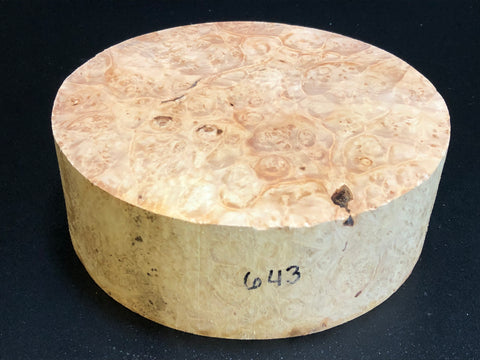 8x2.5 KD Maple Burl Wood Bowl Turning Blank (#00643)