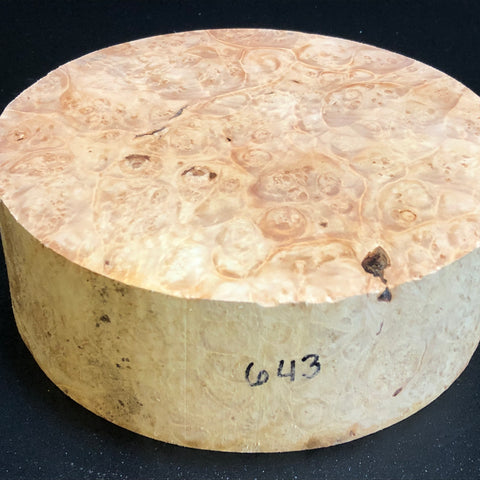 8x2.5 KD Maple Burl Wood Bowl Turning Blank (#00643)