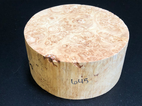 7x3.5 KD Maple Burl Wood Bowl Turning Blank (#00645)