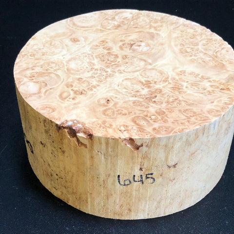 7x3.5 KD Maple Burl Wood Bowl Turning Blank (#00645)