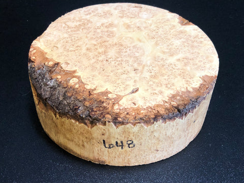 7x2.5 KD Maple Burl Wood Bowl Turning Blank (#00648)