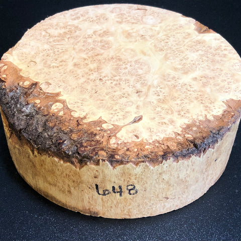 7x2.5 KD Maple Burl Wood Bowl Turning Blank (#00648)