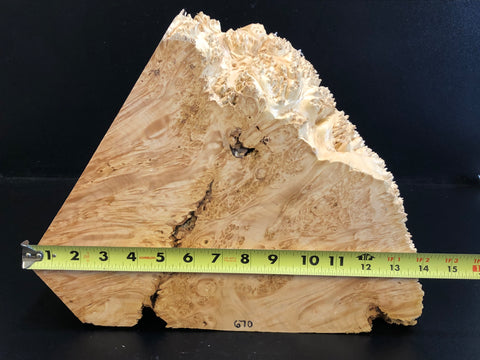 14x11x2.75 KD Maple Burl Wood Turning Blank (#00670)