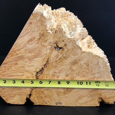 14x11x2.75 KD Maple Burl Wood Turning Blank (#00670)