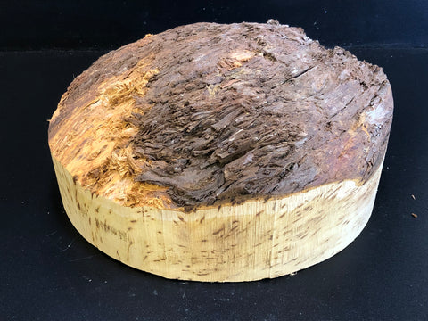 12"x4" KD Yellow Cedar Burl Cap (Max Height 4") Wood Turning Blank (#00671)