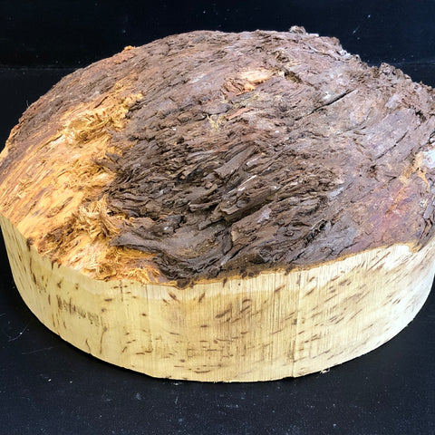 12"x4" KD Yellow Cedar Burl Cap (Max Height 4") Wood Turning Blank (#00671)