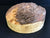 12"x4" KD Yellow Cedar Burl Cap (Max Height 4") Wood Turning Blank (#00671)