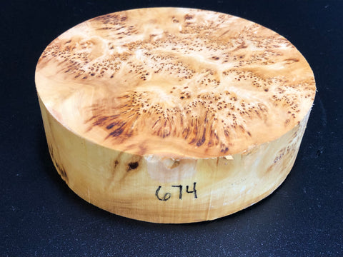 7"x2" KD Yellow Cedar Burl Wood Turning Blank (#00674)