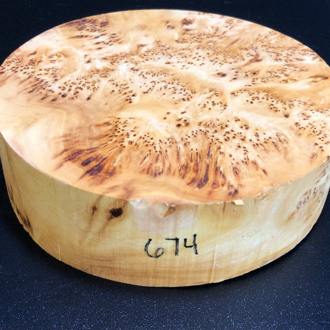 7"x2" KD Yellow Cedar Burl Wood Turning Blank (#00674)