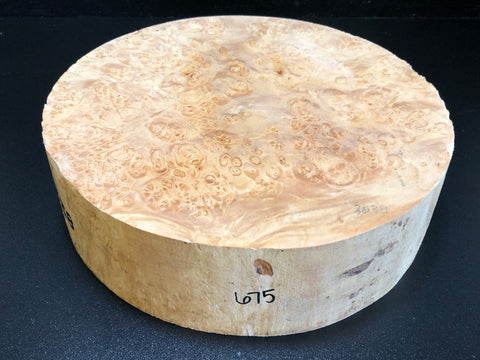 12"x3" KD Maple Burl Wood Bowl Turning Blank (#00675)