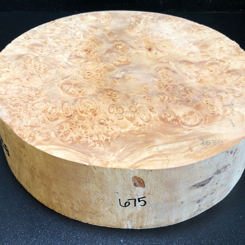 12"x3" KD Maple Burl Wood Bowl Turning Blank (#00675)